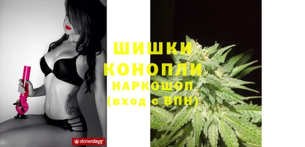 Альфа ПВП Магадан