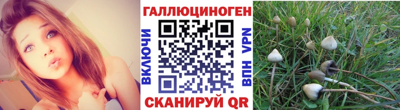 Псилоцибиновые грибы GOLDEN TEACHER  Мирный 
