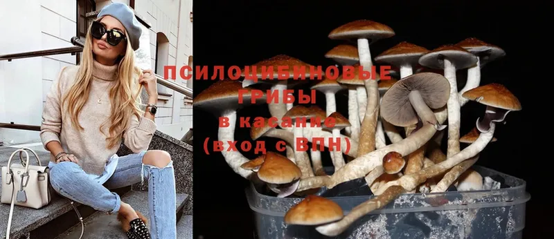 Галлюциногенные грибы Magic Shrooms  Мирный 