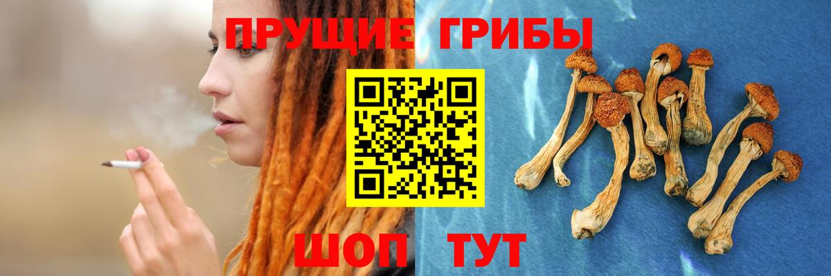 Галлюциногенные грибы прущие грибы Мирный